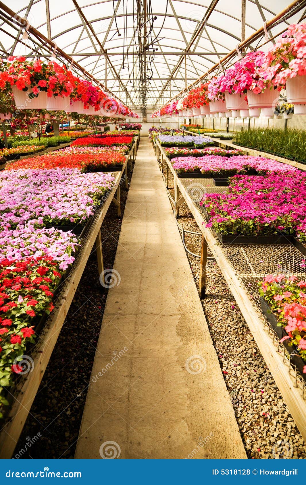 Botanik bahçesi/sera koridoru